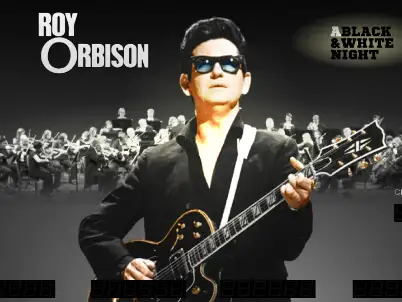 Roy Orbison virtual pinball table