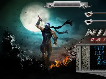 Ninja Gaiden virtual pinball table